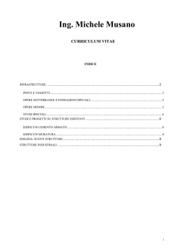 CURRICULUM METIS s.r.l. - Dipartimento di Ingegneria Strutturale e