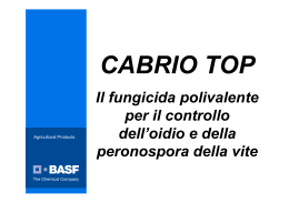CABRIO TOP_BARI