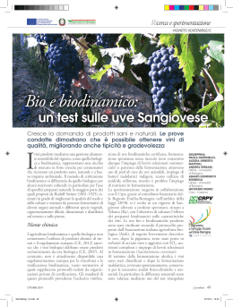 Vigneto sostenibile/2 - Agricoltura e pesca - Regione Emilia