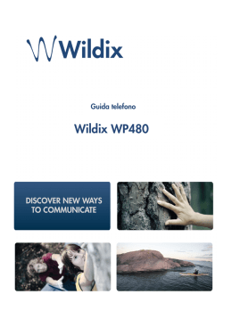 WP480 Quick Guide IT