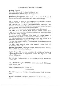 CURRICULUM GIORGIO TABELLINI