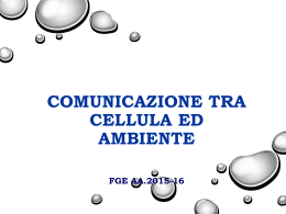 1_Comunicazioni tra cellula e ambiente (pdf, it, 721 KB, 10/2/15)