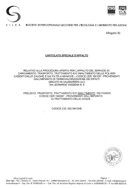 Allegato B - Capitolato Speciale