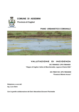 V.I. Assemini - Comune di Assemini