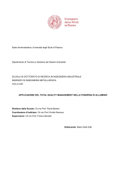 Documento PDF (Applicazione del TQM nella fonderia di alluminio)