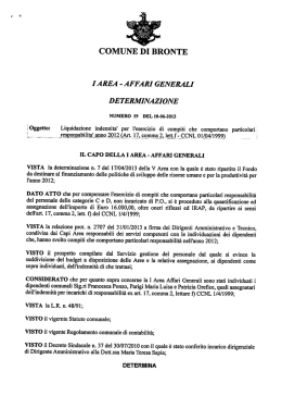 Determinazione N 19 del 10-06