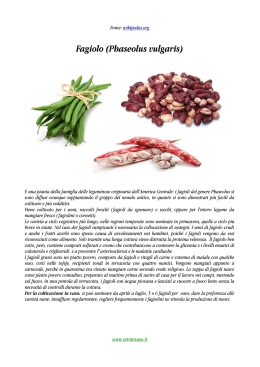 Fagiolo (Phaseolus vulgaris)