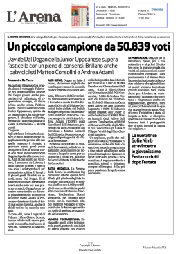 Scarica il file in formato pdf