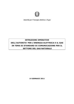 Allegato A - Istruzioni Operative - Autorità per l`energia elettrica e il gas