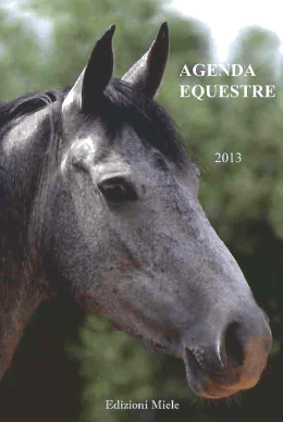 promo Agenda equestre 2013