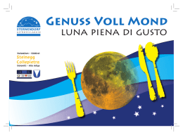 VIEIDER CHRISTOPH & Co KG