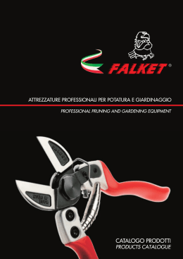 D - Sfogliami.it