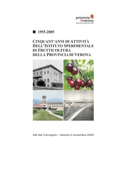 Scarica il documento - Provincia di Verona
