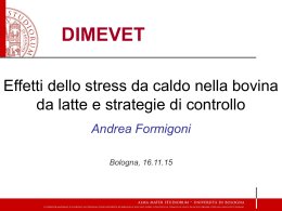 Lezione del prof. Andrea Formigoni