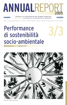 Bilancio Sotenibilità 2005_Vol.3