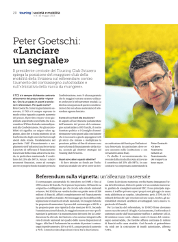 Interview Peter Goetschi