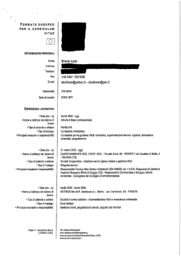 Curriculum Vitae Stanic Luigi