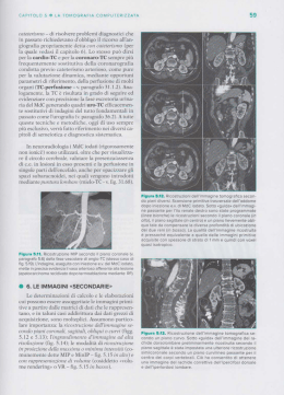 eoteter`r`snto _ di risolvere problemi diagnostici