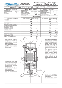 XM40B3T - Faggiolati Pumps