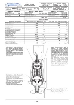 GV19B1T - Faggiolati Pumps