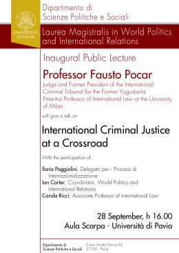 Professor Fausto Pocar