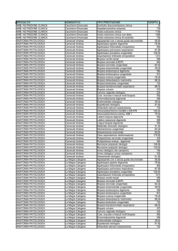 SPECIALITA` NOMINATIVO TIPO PRESTAZIONE TARIFFA AMB