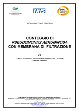 conteggio di pseudomonas aeruginosa con