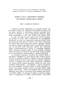 Ricerca sulla componente proteica dei secreti uterini della bovina