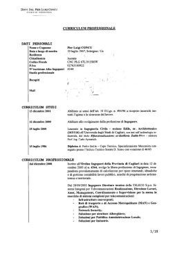 CURRICULUM PROFESSIONALE