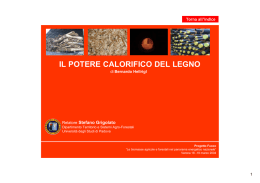 IL POTERE CALORIFICO DEL LEGNO