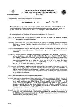 Determinazione n. 206 del 10.05.2013