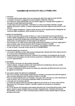 vademecum avvocato della prima ora