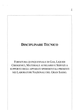 disciplinare tecnico - INFN - Istituto Nazionale di Fisica Nucleare