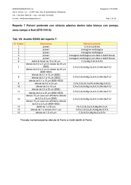 Reperto 7 Polveri prelevate con striscia adesiva