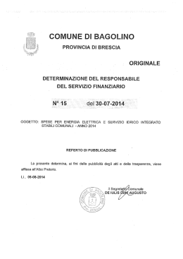 Ragioneria_determina n.15 del 2014