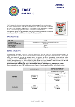 FAST è uno smalto sintetico industriale a rapida essiccazione per