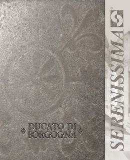 DUCATO DI BORGOGNA_bassa