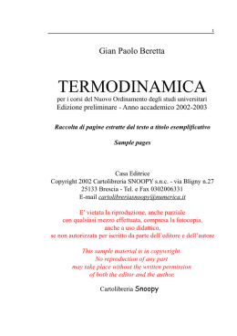 Visualizza estratto esemplificativo (55 pagine, file , 2 MB)