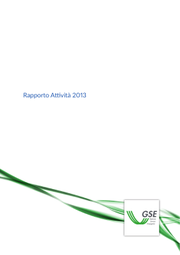 GSE - Rapporto Attività 2013