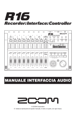 MANUALE INTERFACCIA AUDIO