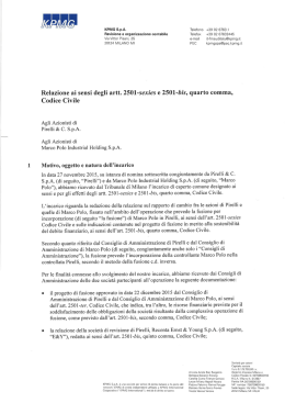 Relazione Esperto Comune