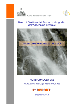 Report 2013 - Autorità di Bacino del fiume Tevere