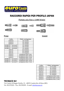 Raccordi rapidi Japan 20-40-400