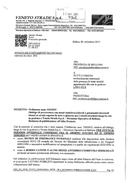 VEY\ETO STRADE S`P`A - Comune di Santo Stefano di Cadore