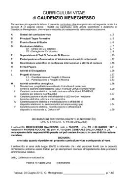 CURRICULUM VITAE di GAUDENZIO MENEGHESSO