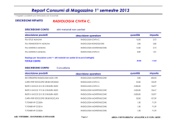Report codmag 1sem 2013 Radiologia Civita