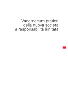 Vademecum pratico della nuova societ&agrave; a responsabilit&agrave; limitata