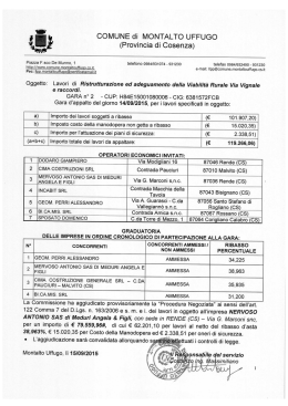 Aggiudicazione provvisoria