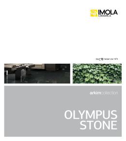 olympus stone - LeonardoCeramica