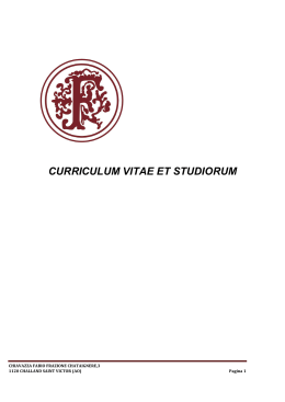 Fabio Curriculum professionale 2014 per sito